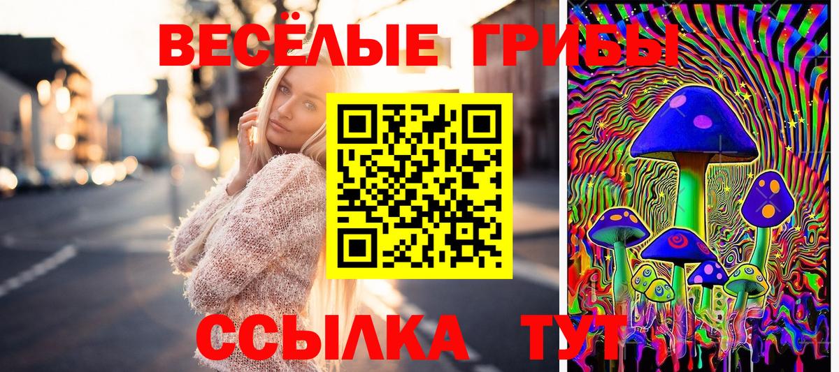 Псилоцибиновые грибы MAGIC MUSHROOMS  Вход с VPN  наркотики  Псилоцибиновые грибы Psilocybe  Гудермес 