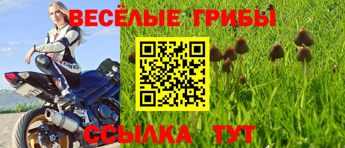 Галлюциногенные грибы прущие грибы Гудермес